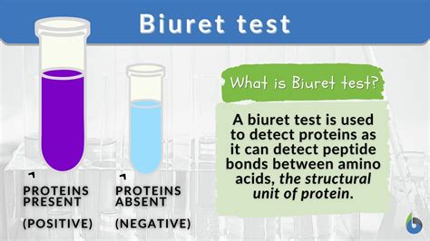 biuret reagent contains|Biuret Test: Definition, Procedure & Reagent .
